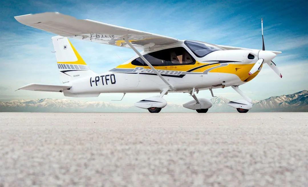 Tecnam P2010