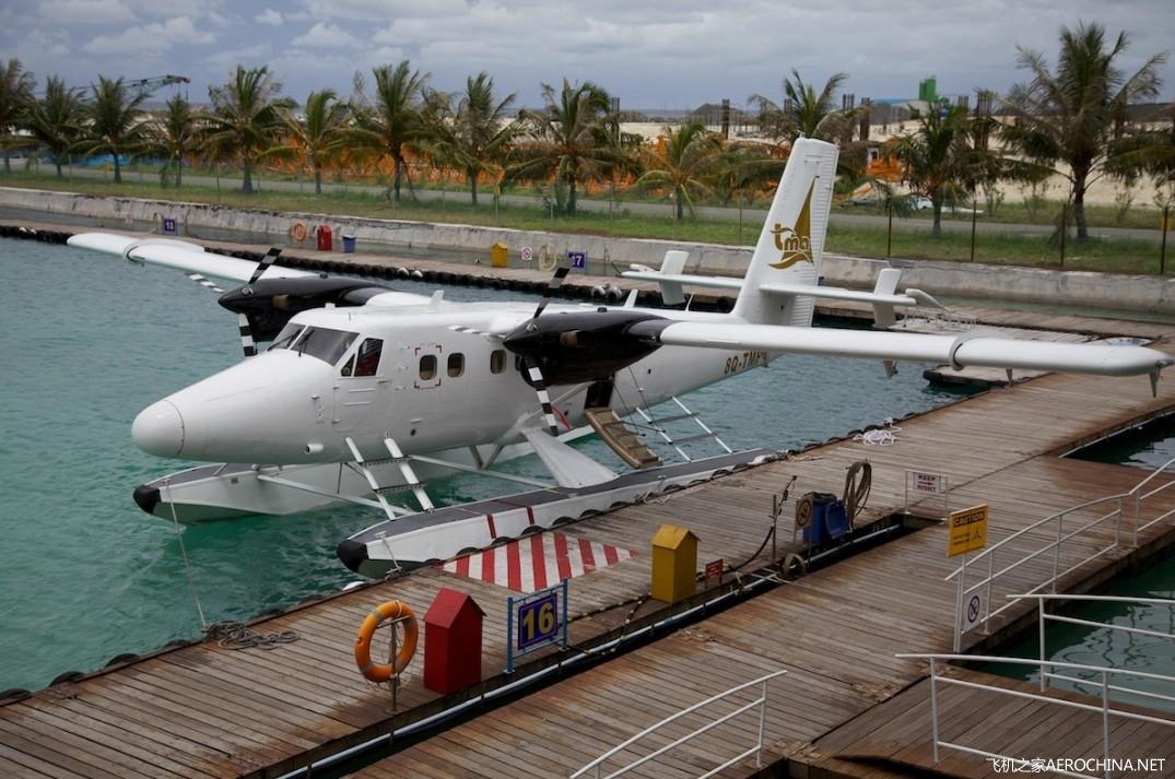 DHC-6双水獭