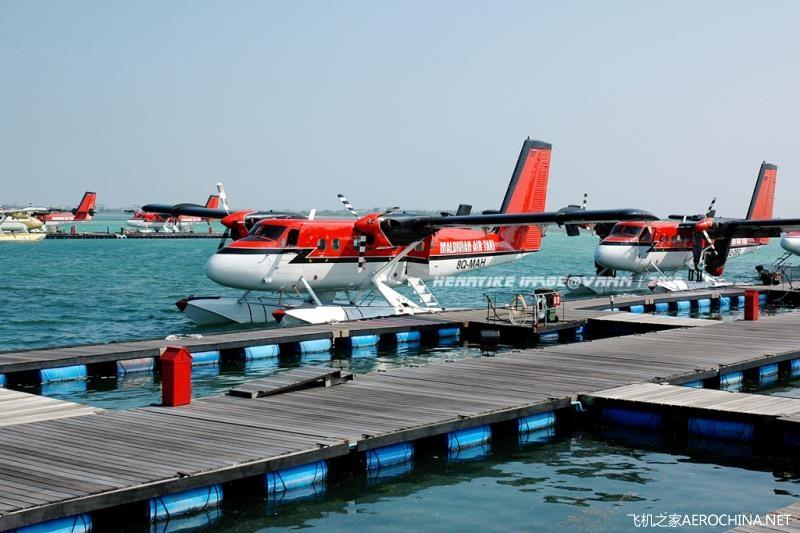 DHC-6双水獭