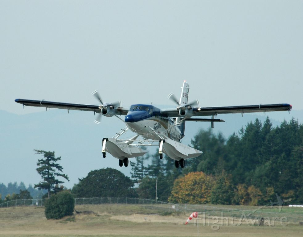 DHC-6双水獭